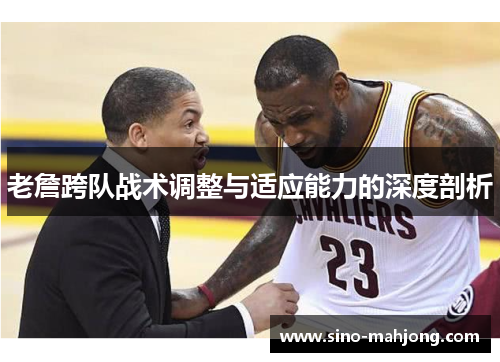 老詹跨队战术调整与适应能力的深度剖析