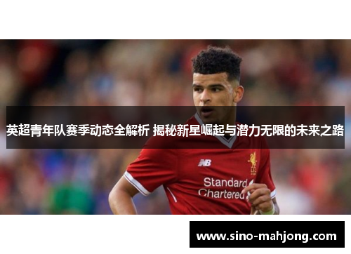 英超青年队赛季动态全解析 揭秘新星崛起与潜力无限的未来之路 英超青年队赛季动态全解析 揭秘新星崛起与潜力无限的未来之路