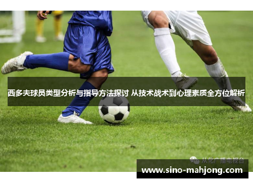 西多夫球员类型分析与指导方法探讨 从技术战术到心理素质全方位解析 西多夫球员类型分析与指导方法探讨 从技术战术到心理素质全方位解析