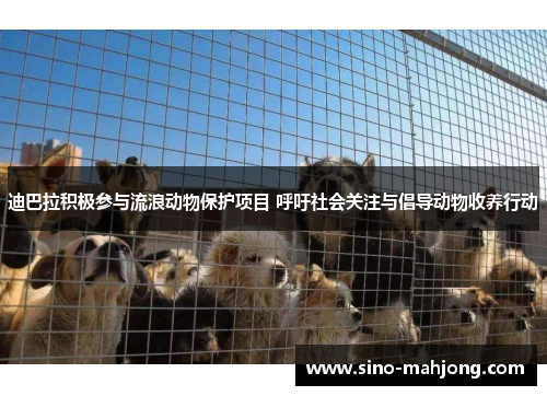 迪巴拉积极参与流浪动物保护项目 呼吁社会关注与倡导动物收养行动