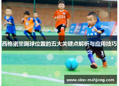 西格诺里踢球位置的五大关键点解析与应用技巧 西格诺里踢球位置的五大关键点解析与应用技巧