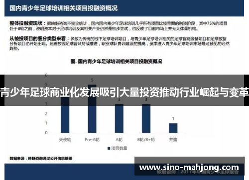 青少年足球商业化发展吸引大量投资推动行业崛起与变革 青少年足球商业化发展吸引大量投资推动行业崛起与变革