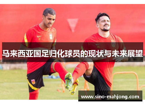 马来西亚国足归化球员的现状与未来展望 马来西亚国足归化球员的现状与未来展望